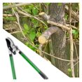 Long Reach 18 Inch to 31 Inch Ratcheting Tree Cutting Bypass Lopper