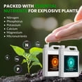 thumbnail image 3 of Humboldts Secret Base A & B Liquid Hydroponic Fertilizer | Complete Hydroponic Nutrients for Indoor and Outdoor Plants | Supports Healthy Vegetative Growth and Flowering Stage | 1 Gallon, 3 of 10