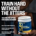 thumbnail image 6 of RAW Essential Performance Non-Stim Pre-Workout Powder - Preworkout for Endurance Strength & Focus Without Caffeine or Stimulants - Creatine Monohydrate, L-Citrulline & Beta Alanine - Sour Watermelon, 6 of 9
