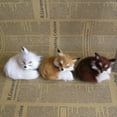 thumbnail image 5 of New Simulation Brown Fox Furs Squatting Fox Model Animals World With Static Action Figures Ornament Plush Toys Gift For Kid, 5 of 5