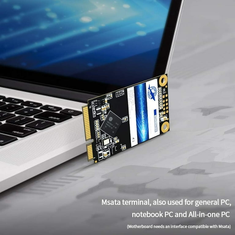 DOGFISH MSATA SSD 512GB Laptop Internal Solid State Drive(512GB