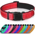 thumbnail image 1 of Collar de nailon para perro con tira reflectante, collar clásico acolchado para perros medianos, rojo, talla M, 1 of 5