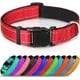 thumbnail image 1 of Collar de nailon para perro con tira reflectante, collar clásico acolchado para perros medianos, rojo, talla M, 1 of 5