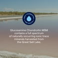 thumbnail image 4 of Trace Minerals Glucosamine/Chondroitin/MSM - Liquid Glucosamine Supplement for Joint Care & Bone Health - Full Spectrum of Ionic Minerals - High Absorption - Blueberry - 32 fl oz (32 Servings), 4 of 6