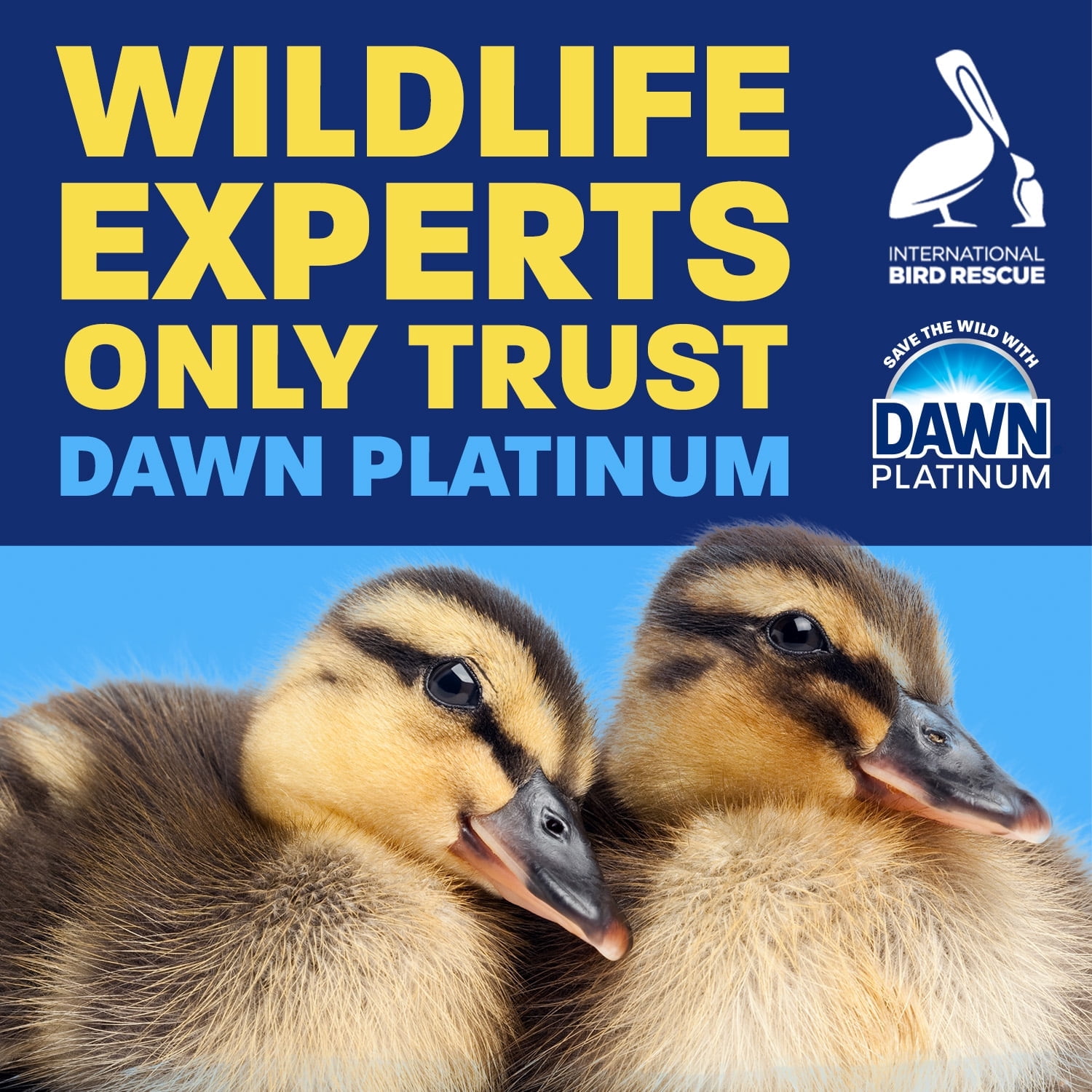 Dawn Platinum Bleach Alternative EZ-Squeeze Dish Soap, Dishwashing Liquid, Clean Lemon, 24.3 fl oz