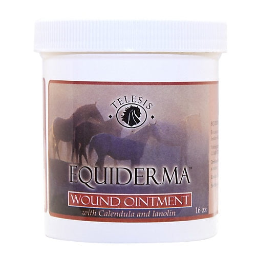 Equiderma Wound Ointment for Horses, 16 oz