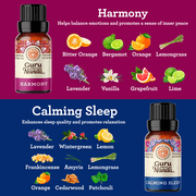 GuruNanda Essential Oils Set of 6 Blended Scents for Aromatherapy and Diffusers, 100% Pure and Natural, 10 mL Each