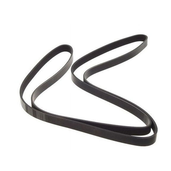 Primary Multi Rib Belt - Compatible with 2000 - 2006 Toyota Tundra 4.7L V8 2001 2002 2003 2004 2005