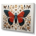 thumbnail image 2 of Designart "Tiny Wonders Insects Bugs wall decor III" Animals Canvas Wall Art, 2 of 5