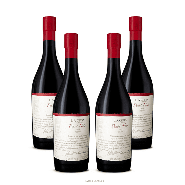 Vino Tinto Pinot Noir Boutique 750ml Paquete de 4 Botellas