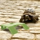 thumbnail image 4 of Plataforma de escalada para tortugas, tanque de tortugas, terraza flotante para tomar el sol, 4 of 6