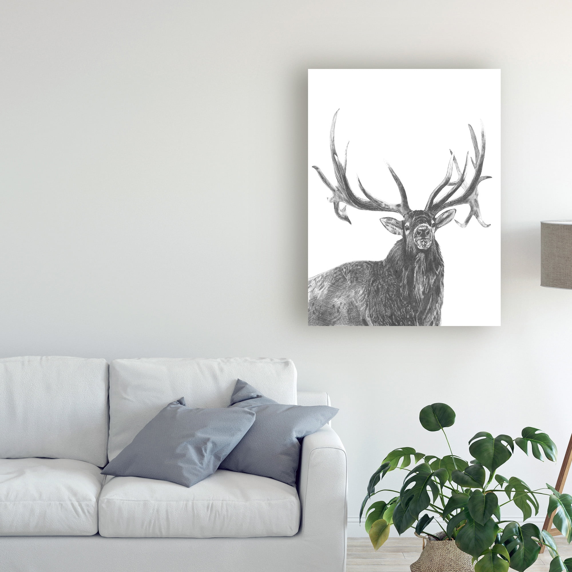 Trademark Fine Art 'Wildlife Snapshot: Elk' Canvas Art by Naomi McCavitt