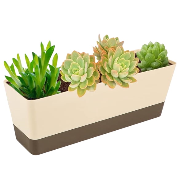 1 Pack Plastic Window Box Planter 12 x4 Inch Beige Flower Box Rectangular Plant Containers with Drainage Hole Herb Succulent Containers for Outdoor Garden Windowsill By Scheam