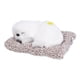 thumbnail image 3 of Adorables juguetes para niños cachorros durmiendo - Pekinés blanco realista, 3 of 10