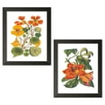 thumbnail image 2 of Gango Home Decor Contemporary Antique Botanical XVII & XVIII; Two 12x18in Art Prints in Black Frames, 2 of 6
