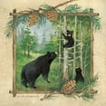 thumbnail image 2 of Phillips, Anita 12x12 White Modern Wood Framed Museum Art Print Titled - Black Bears II, 2 of 4