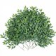 thumbnail image 1 of Tallos artificiales para vegetación mizii Italian Ruscus 20 pulgadas (24), 1 of 8