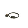 thumbnail image 1 of Sensor de detonación Bosch 0261231218, equipamiento original para Polaris, 1 of 5