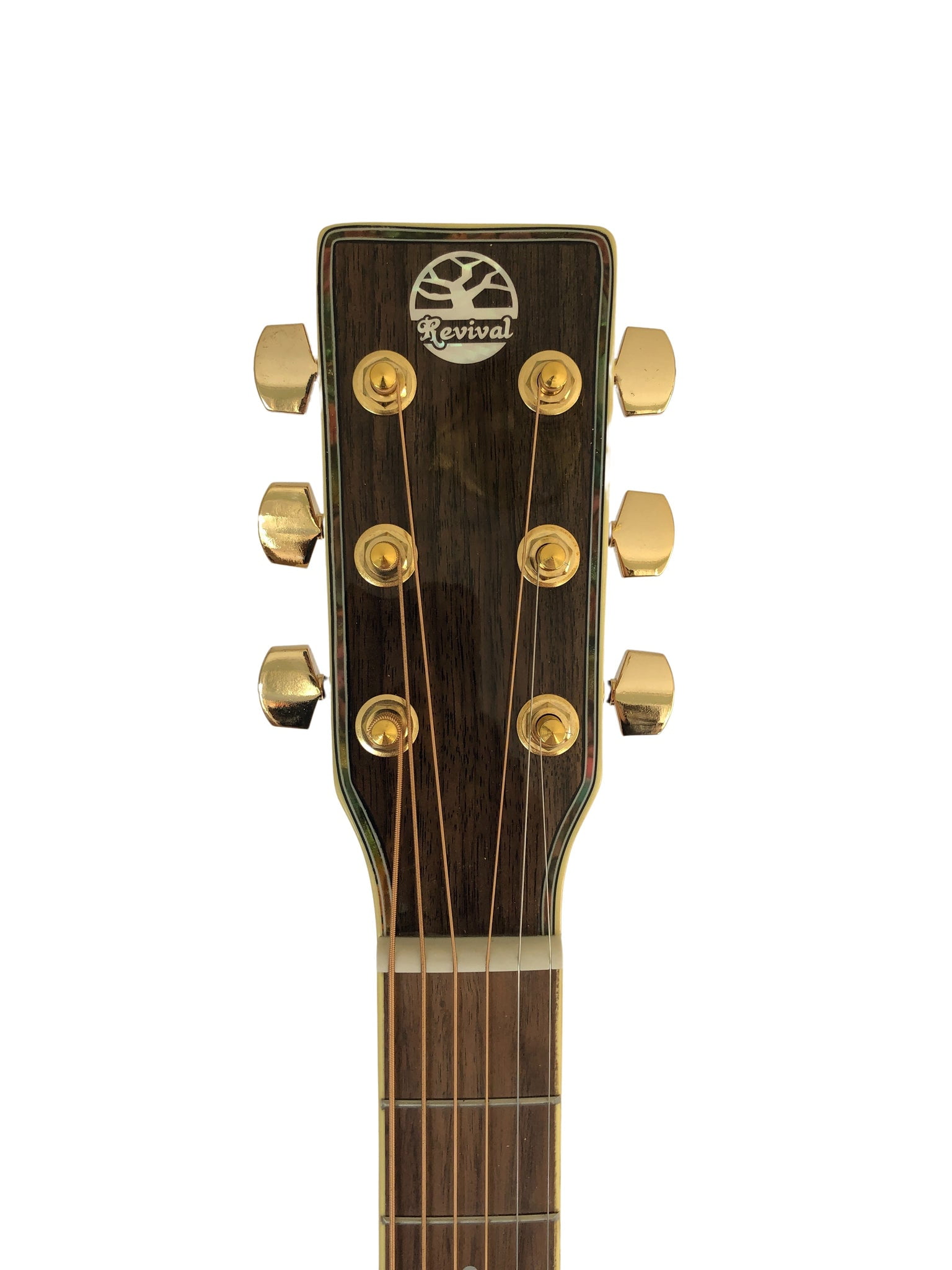 Revival Dreadnought Acoustic Guitar Black Spruce Top with D'Addario Strings