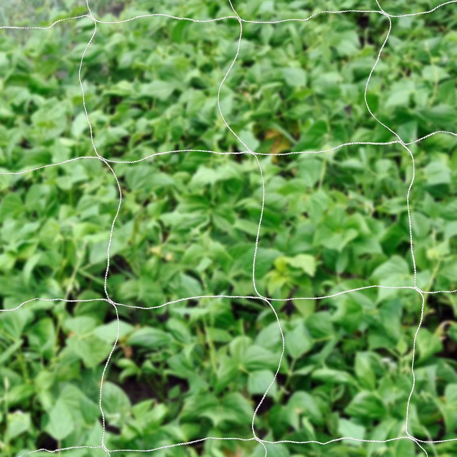 Miumaeov Heavy Duty Trellis Netting Roll, 4ft × 3280ft Soft Mesh Support Garden Netting Bulk Roll Professional Plastic Plant Trellis Net for Climbing Plants, Vine Vegetables, Fruits and Flowers