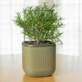 thumbnail image 5 of Vego Garden 2 Pack Self-Watering Mini Planter Box with Trellis Sage Green, 5 of 7