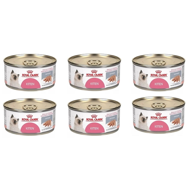Paquete alimento humedo gatito 6 latas royal canin kitten 145 gr