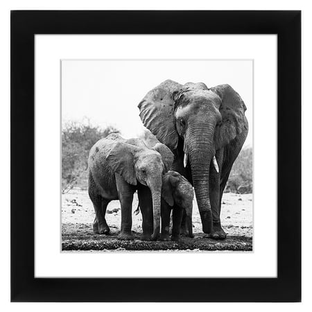 Mutt Mat - Americanflat 11x11 Black Picture Frame - Matted to Fit Pictures 8x8 Inches or 11x11 Without Mat - Hanging Hardware Included