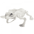 thumbnail image 5 of Halloween Decorations Animal Skeleton & Skull Realistic Bones Scary Party Props-Snake, 5 of 5