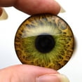 thumbnail image 2 of Hazel Human Inspired Glass Eyes, 2 of 8