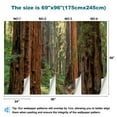 thumbnail image 3 of Peel and Stick Wallpaper Waterproof Light Forest Henry Cowell Redwoods State Park Wall Mural Decor Self Adhesive and Removable 69in x 98in, 3 of 8
