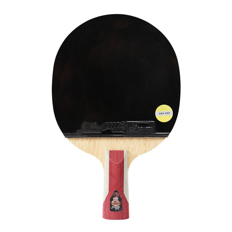 DHS Ping Pong Paddles Professional Table Tennis Racket with Hurricane Rubber Carrying Case - ITTF Approved Rubber for Tournament Play