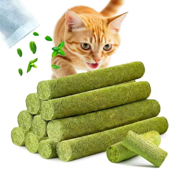YTSKJ 100g/3.5oz Cat Grass Teething Stick Cat Chew Toy for Teeth Cleaning Dental Health Toy for Indoor Kitten Edible Dry Kitty Toys for Hairball Removal
