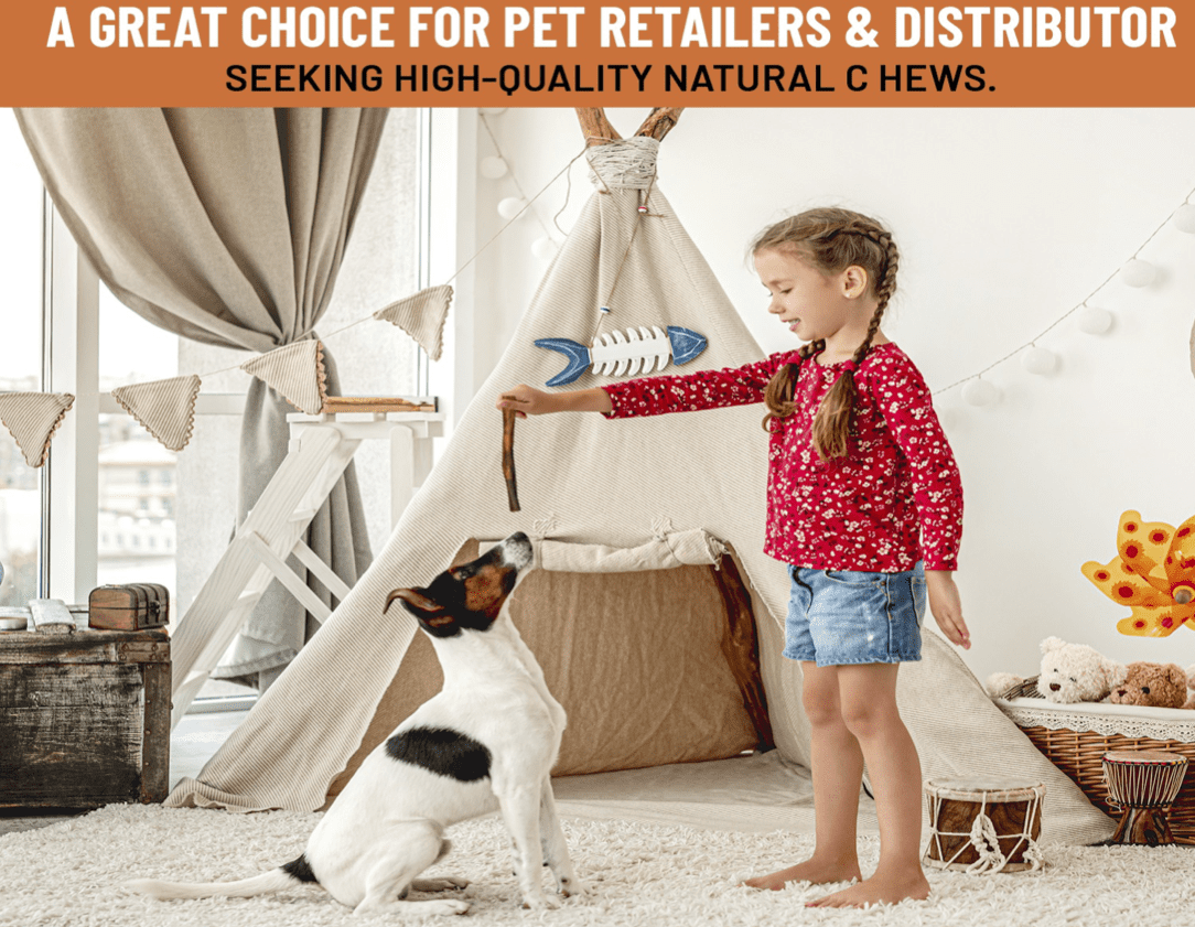 PETSamba 6 Inch Beef Collagen Sticks [20-Pack] – Collagen Bully Sticks for Dogs – All Natural – Highly Digestible