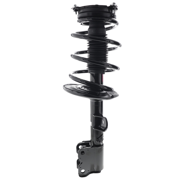Complete Corner Unit Assembly -Strut, Mount and Spring
