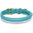 thumbnail image 2 of OOPSDOGGY Rolled Leather Dog Collar Reflective Soft Padded Pet Collar for Small Medium Large Breed Dogs Adjustable, Teal, 2 of 6