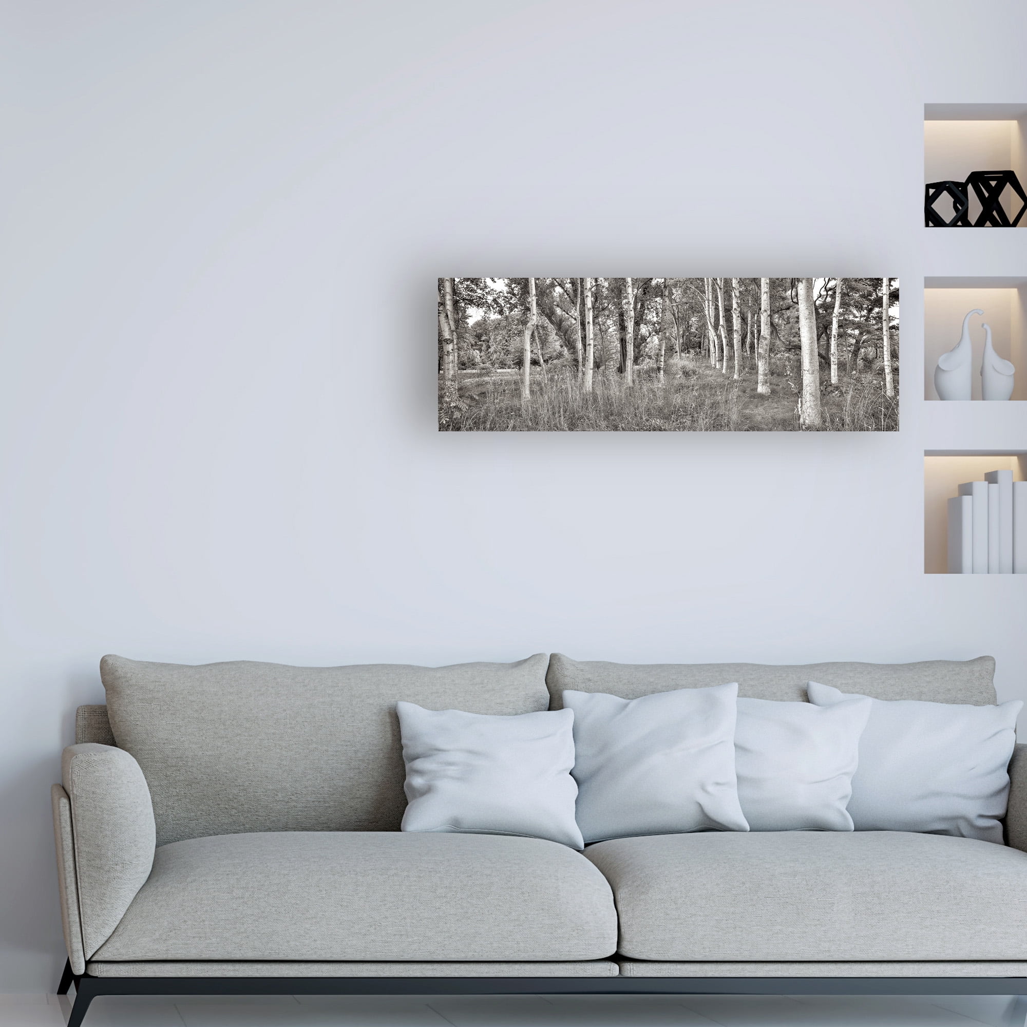 Trademark Fine Art 'Birch Trees No.2' Canvas Art by Alan Blaustei