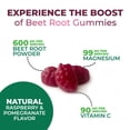 thumbnail image 4 of Beet Root Supplement Gummies 500mg - Superfood with Beetroot Extract Powder Vitamin C & Magnesium - Supports Energy Heart Health & Nitric Oxide Production - Red Beets Supplements Gummy - 60 Gummies, 4 of 11