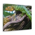 thumbnail image 2 of Majestic Caiman Lizard Art Majestic Caiman Lizard Print Animal Wall Art Wildlife Canvas Prints Wall Art Ready to Hang Unframed, 2 of 18