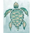 thumbnail image 2 of Medley, Elizabeth 20x24 Black Ornate Wood Framed with Double Matting Museum Art Print Titled - Aquatic Turtle I, 2 of 4
