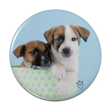 

Jack Russell Terrier Puppies Dogs Gift Box Kitchen Refrigerator Locker Button Magnet