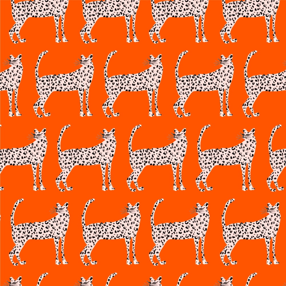 Cheeky Cheetahs Premium Roll Gift Wrap Wrapping Paper