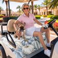 thumbnail image 3 of Golf Cart Seat Covers for 2 Seater,Blue Pumpkin Fall Microfiber Cart Seat Towel Blanket,Thanksgiving Eucalyptus Leaves Weeping Absorbent NonSlip Bench Seats Protector for Golf Course 51"x31", 3 of 9