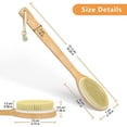 thumbnail image 2 of Exfoliating Body Scrubber Shower Brush with Long Handle, 2 of 5