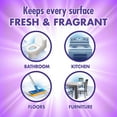 thumbnail image 4 of Fabuloso, CPC05253CT, Professional All Purpose Cleaner & Degreaser, 4 / Carton, Purple, 4 of 9