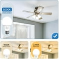 thumbnail image 4 of SHINESTAR A19 LED Light Bulb, 60 Watt Light Bulbs 5000K Daylight White, E26 Standard Base, Non-Dimmable, 6-Pack, 4 of 8
