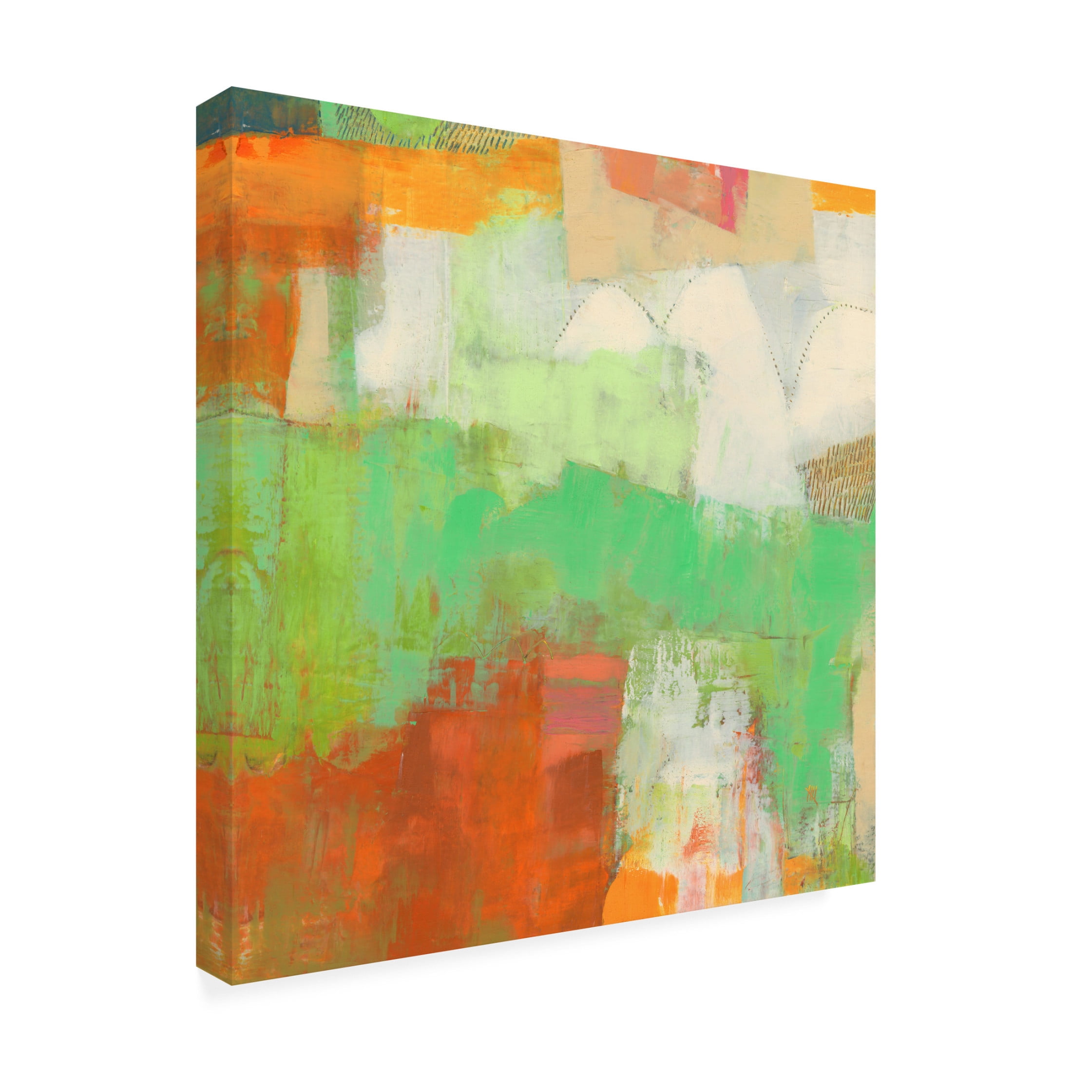 Trademark Fine Art Sue Jachimiec  Ayden I Canvas Wall Art