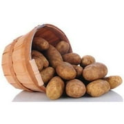 Simply Seed - Russet Burbanks - Naturally Grown Seed Potatoes - 5 LBS - Ready for Fall Planting !