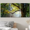 thumbnail image 3 of wall26 - 3 Piece Canvas Wall Art - Mighty Oak Tree - Modern Home Art Stretched and Framed Ready to Hang - 16"x24"x3 Panels, 3 of 7