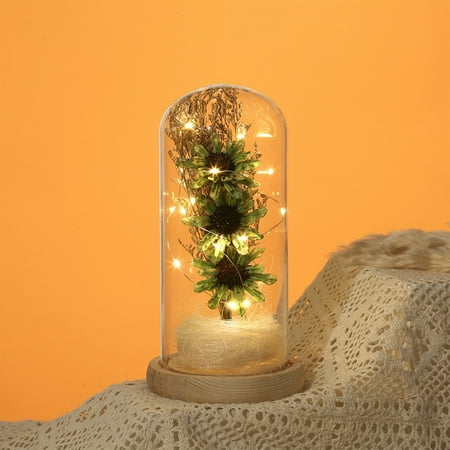 

Hxoliqit Eternal Flower Acrylic Lampshade Dry Flower Fried Dough Twist Home Tabletop Decoration LED Night Light Gift Desk Decorations Christmas Ornaments Funny Christmas Ornaments Desktop Ornament