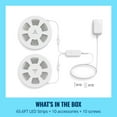thumbnail image 3 of Wiz RGBIC LED Light Strip 65.6ft, 3 of 8